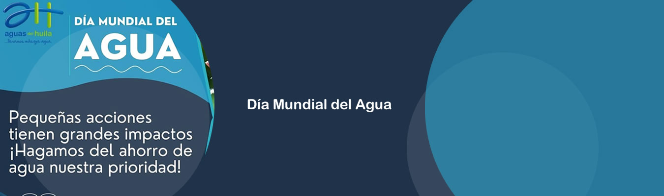 Dia Mundial del Agua 2024