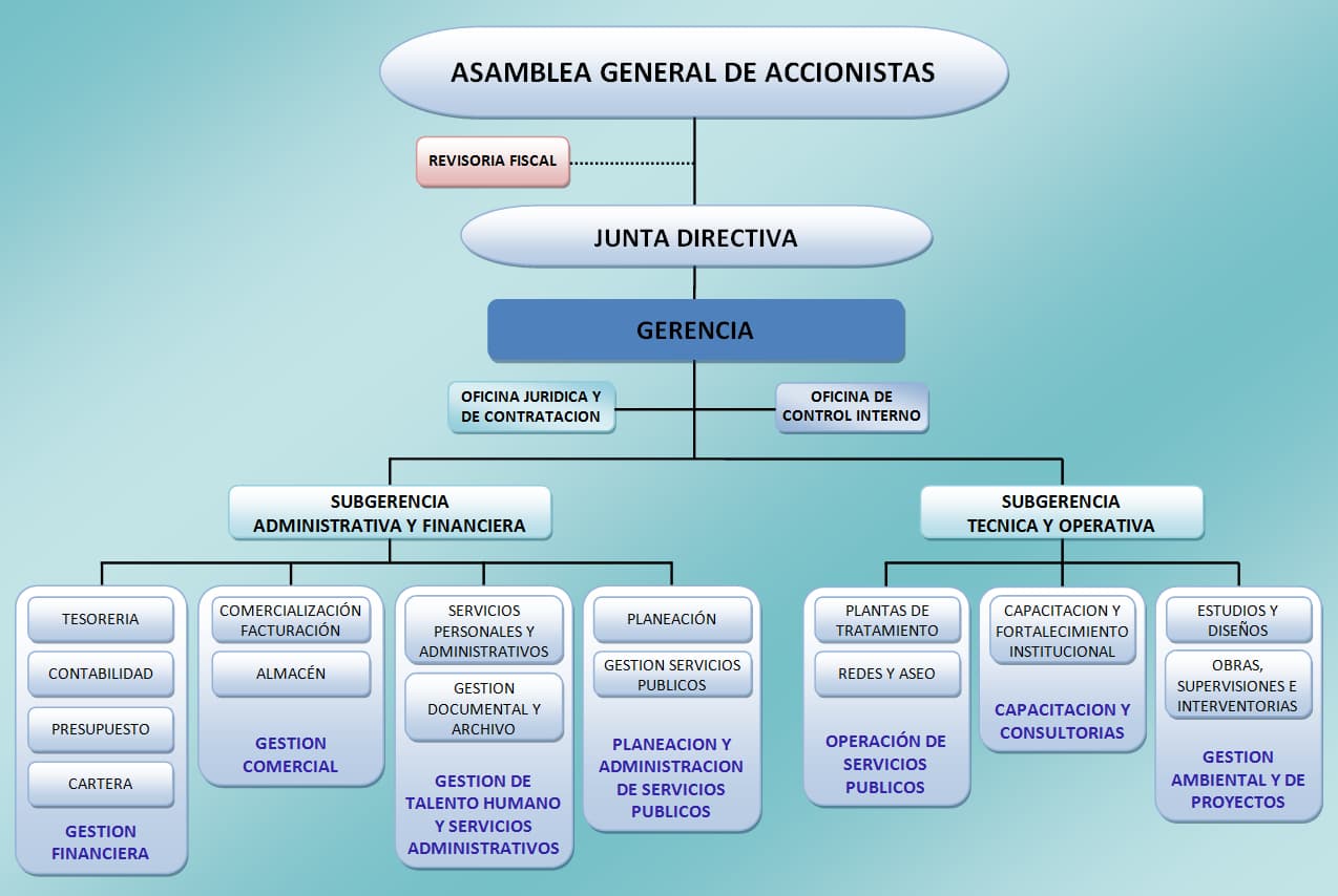 Organigrama