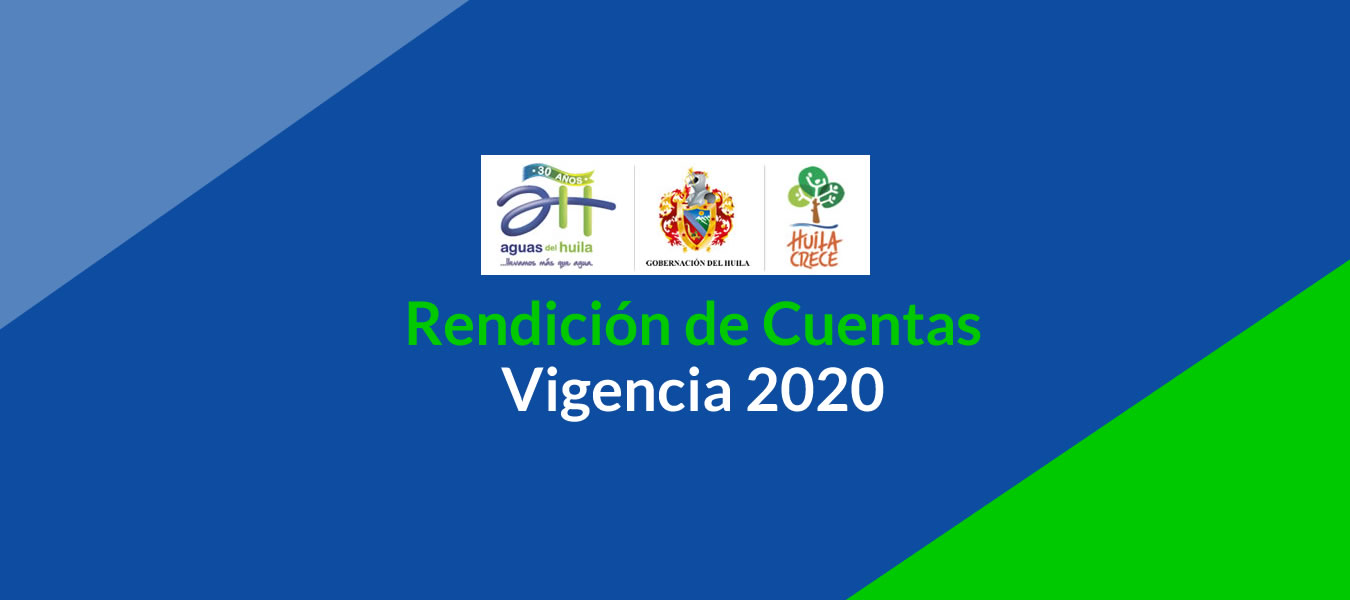 Rendicion de Cuentas Vigencia 2020